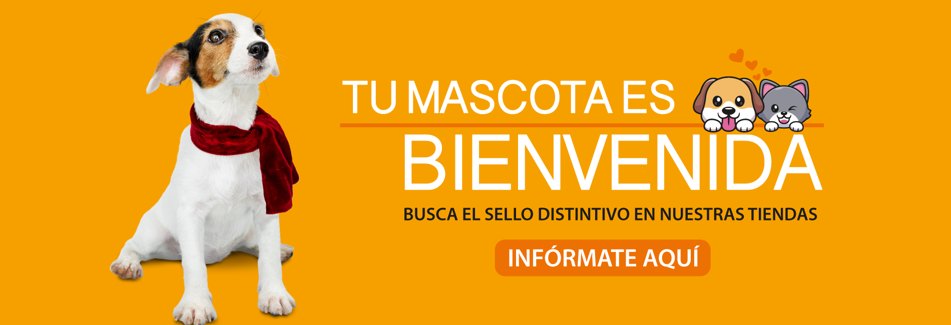 Cabeceras-web-1900X650-PET-FRIENDLY
