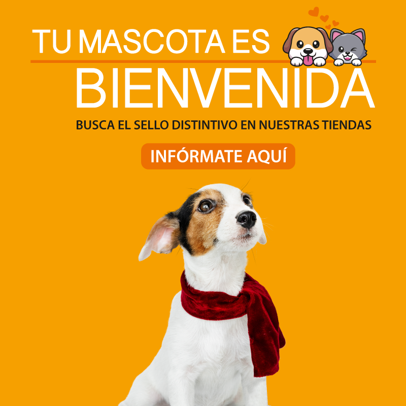 Cabeceras-web-800X800-PET-FRIENDLY